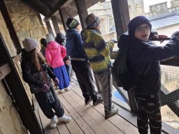 55888615412700064515939673602135839388499577n